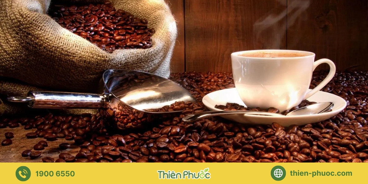 Tại sao chọn Thiên Phước là nhà cung cấp cà phê sỉ của bạn tại TP.HCM?