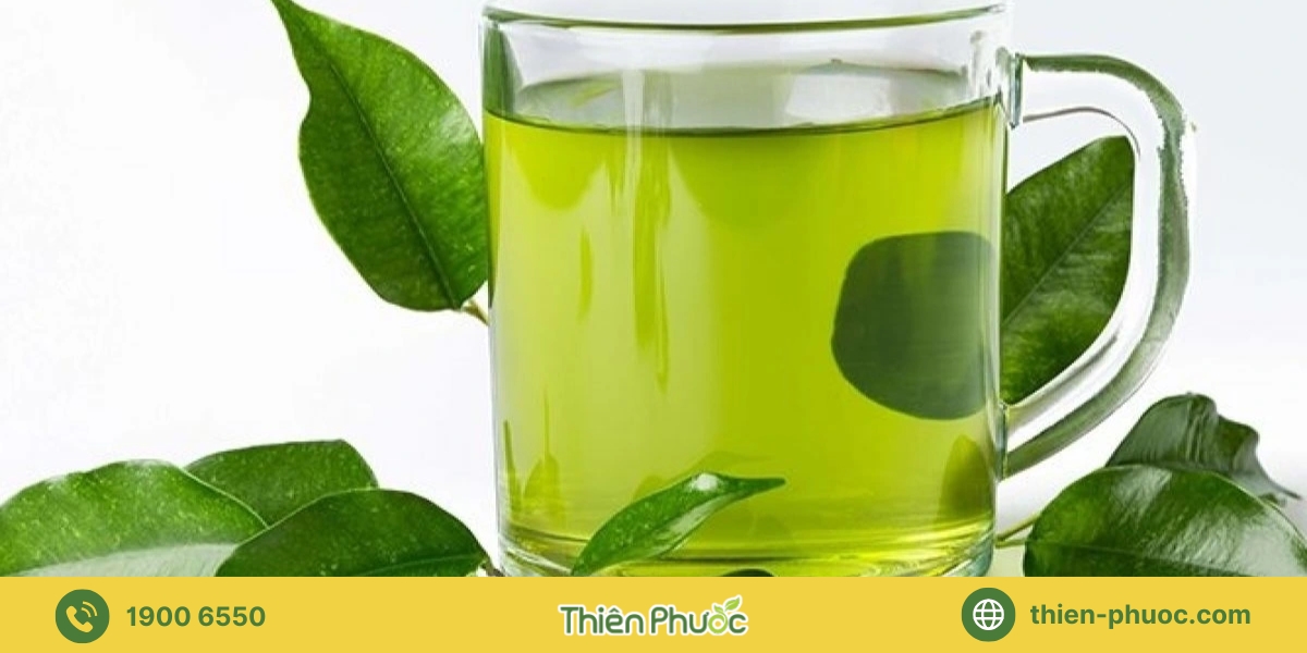 Tại sao chọn trà giá sỉ tại Tây Ninh của Thiên Phước?