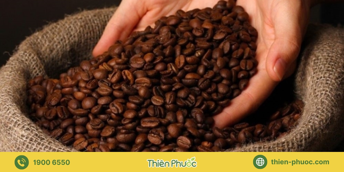 Ưu điểm khi lựa chọn dịch vụ gia công cà phê tại Đồng Nai từ Thiên Phước