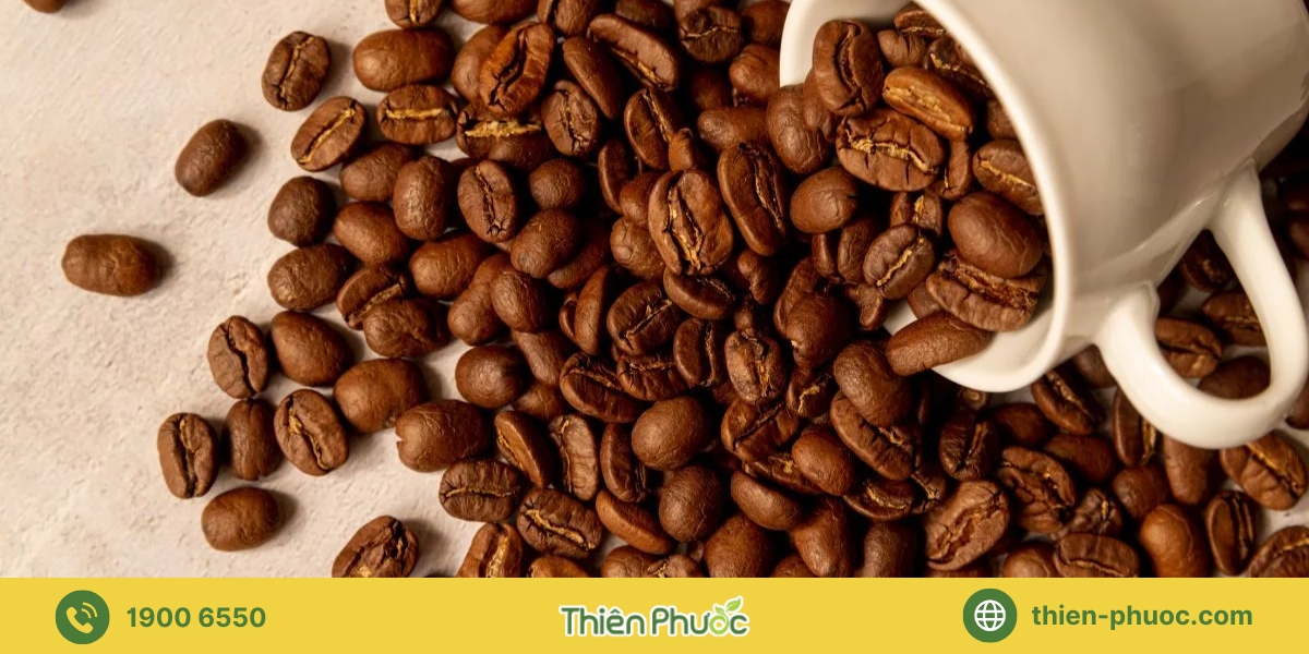 Ưu điểm vượt trội khi gia công cà phê tại Khánh Hòa với Thiên Phước