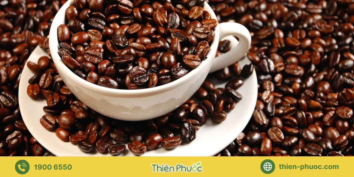 Vì sao chọn cà phê nguyên chất sỉ tại Tiền Giang từ Thiên Phước?