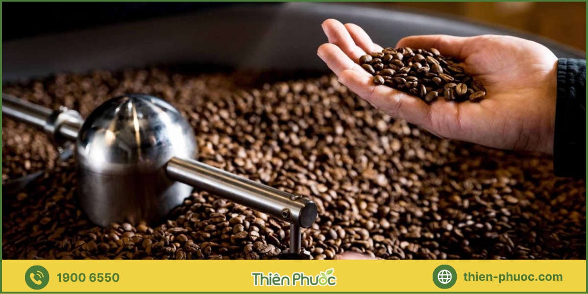 Báo giá dịch vụ cung cấp cà phê tại xưởng rang xay cà phê TP.HCM - Thiên Phước