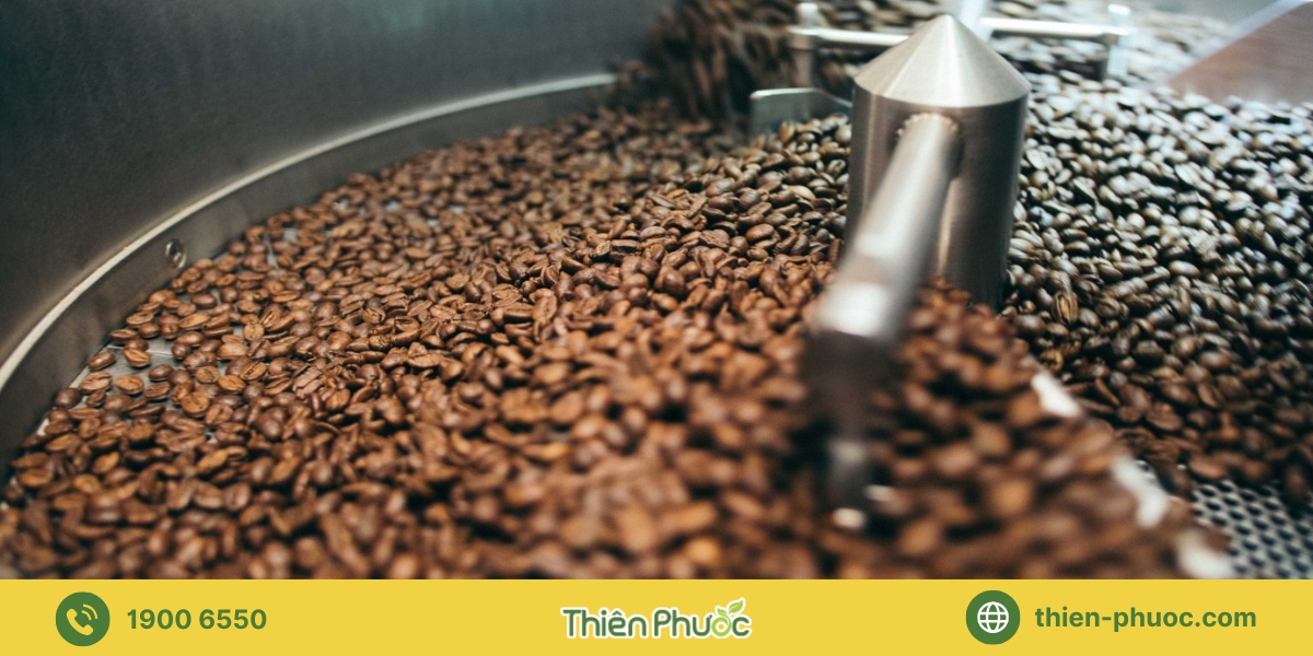 Lưu ý quan trọng khi sản xuất và gia công cà phê để đảm bảo chất lượng tại TP.HCM